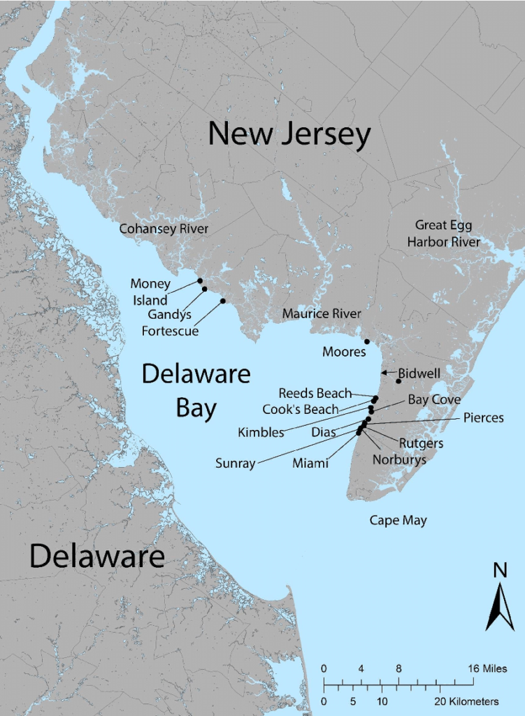 delaware bay map
