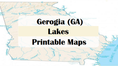 georgia lakes map