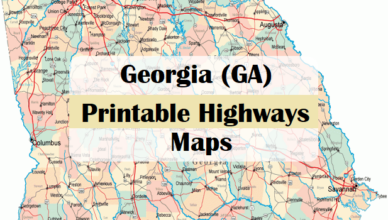 georgia interstate map