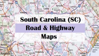 south-carolina-road-and-highway-map