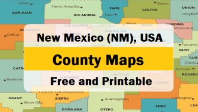 Feature - new mexico county map