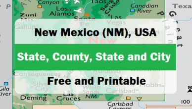 Feature new mexico state map