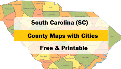 Feature south-carolina-county-map