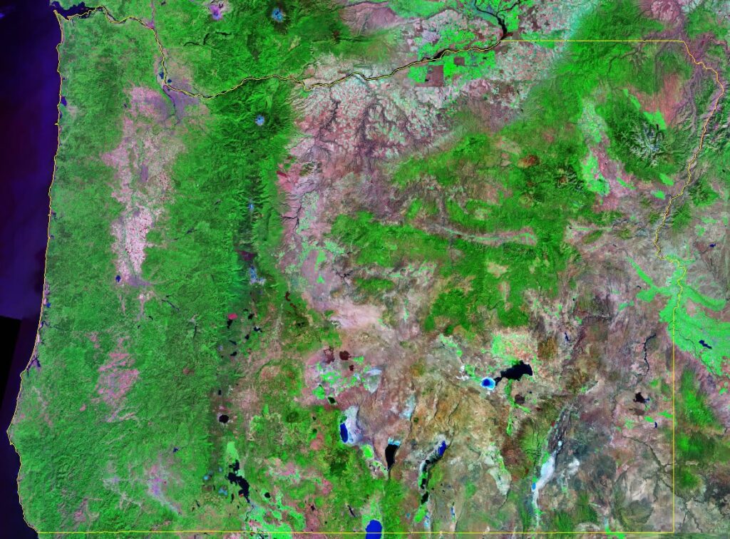 satellite image of oregon