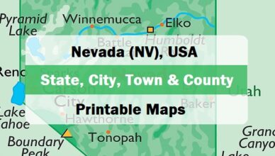 preview images of map of nevada