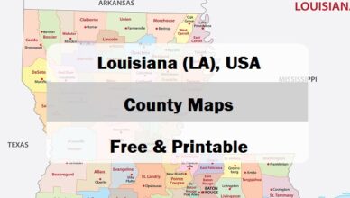 preview map of Louisiana with county