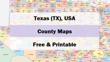 preview county map of Texas