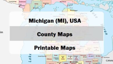 preview county map of michigan