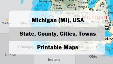 preview map of michigan map
