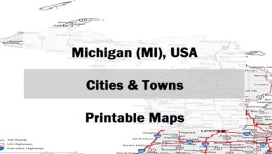 preview map of michigan with cities