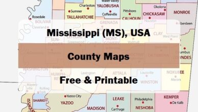 preview map of Mississippi county